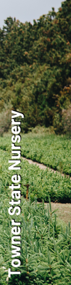 Towner State Nursery