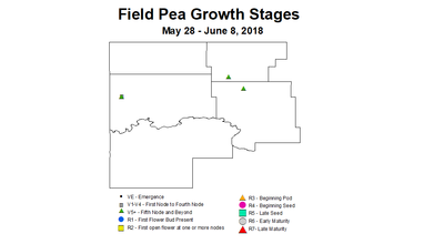 Pea zgs 5.28 6.8 2018