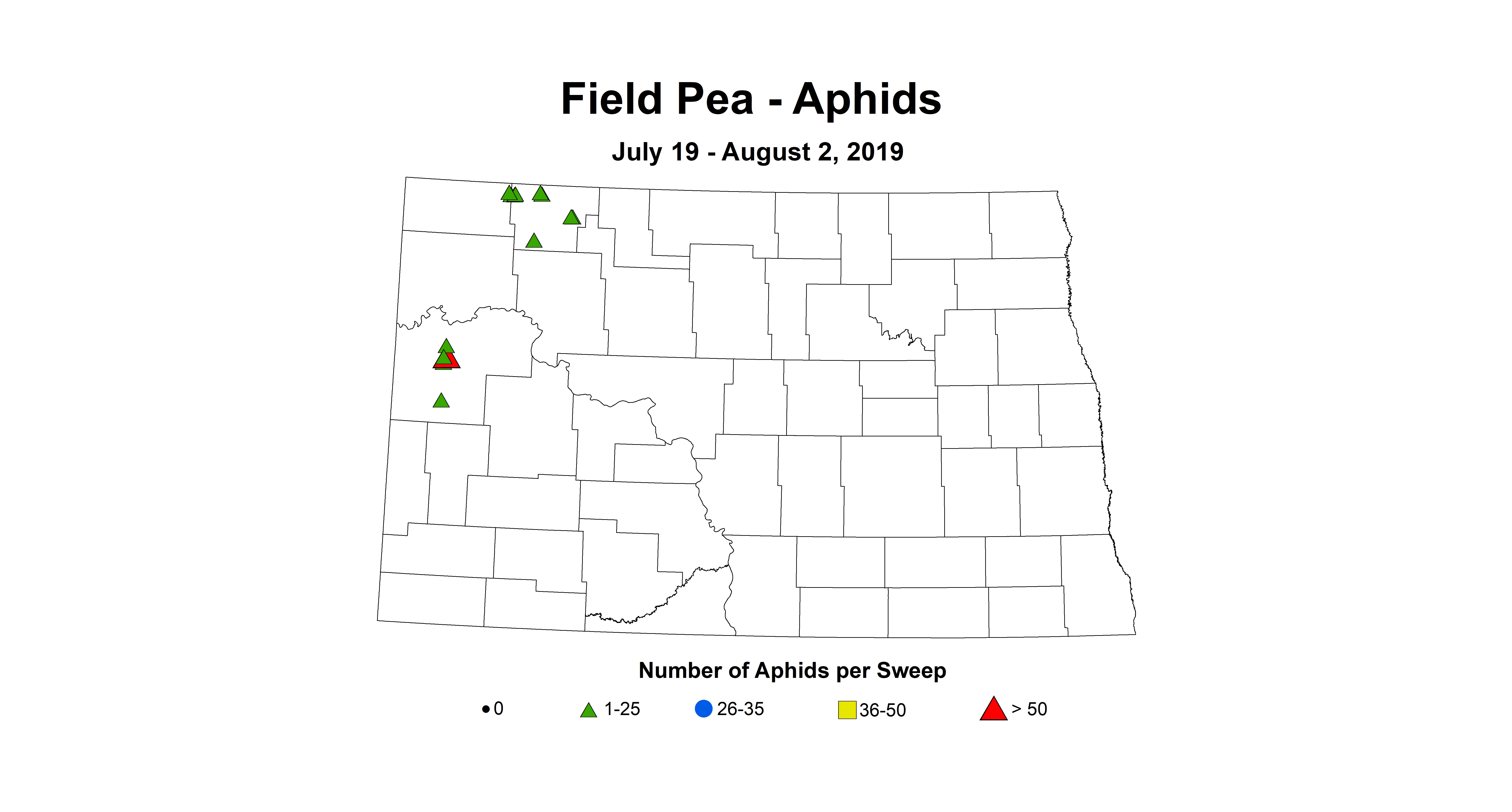 aphid