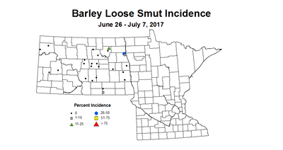 barley LSI 2017 6 26 7 7