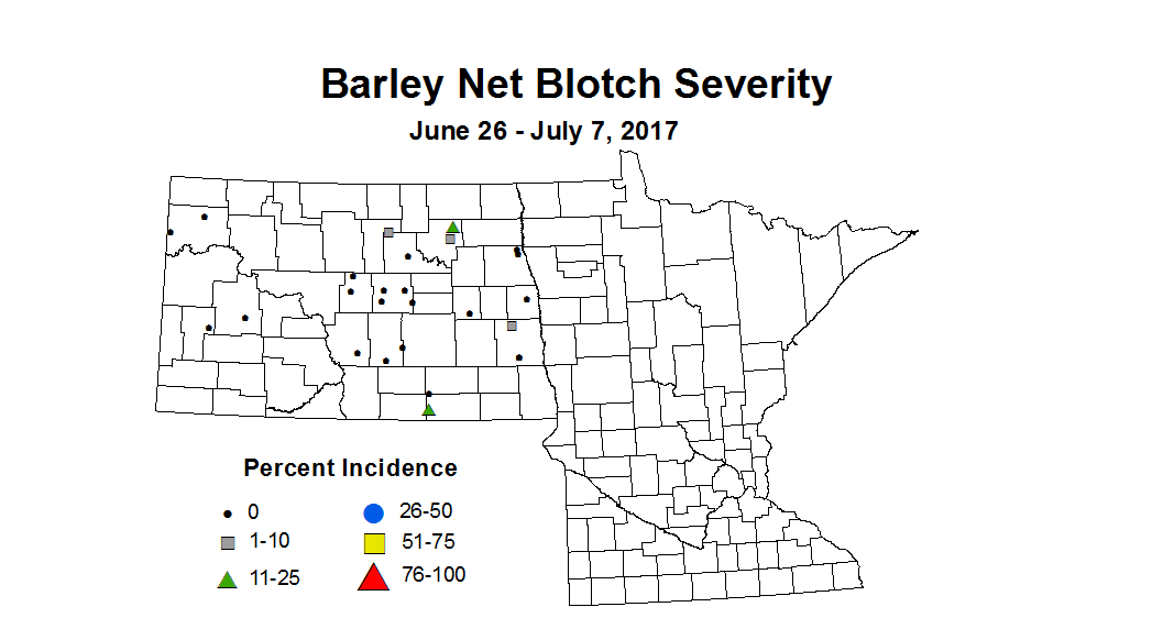 barley NBSV 2017 6 26 7 7