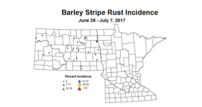 barley strpRust 2017 6 26 7 7
