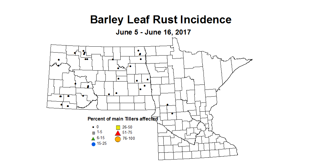barley LRI 6 5 6 16