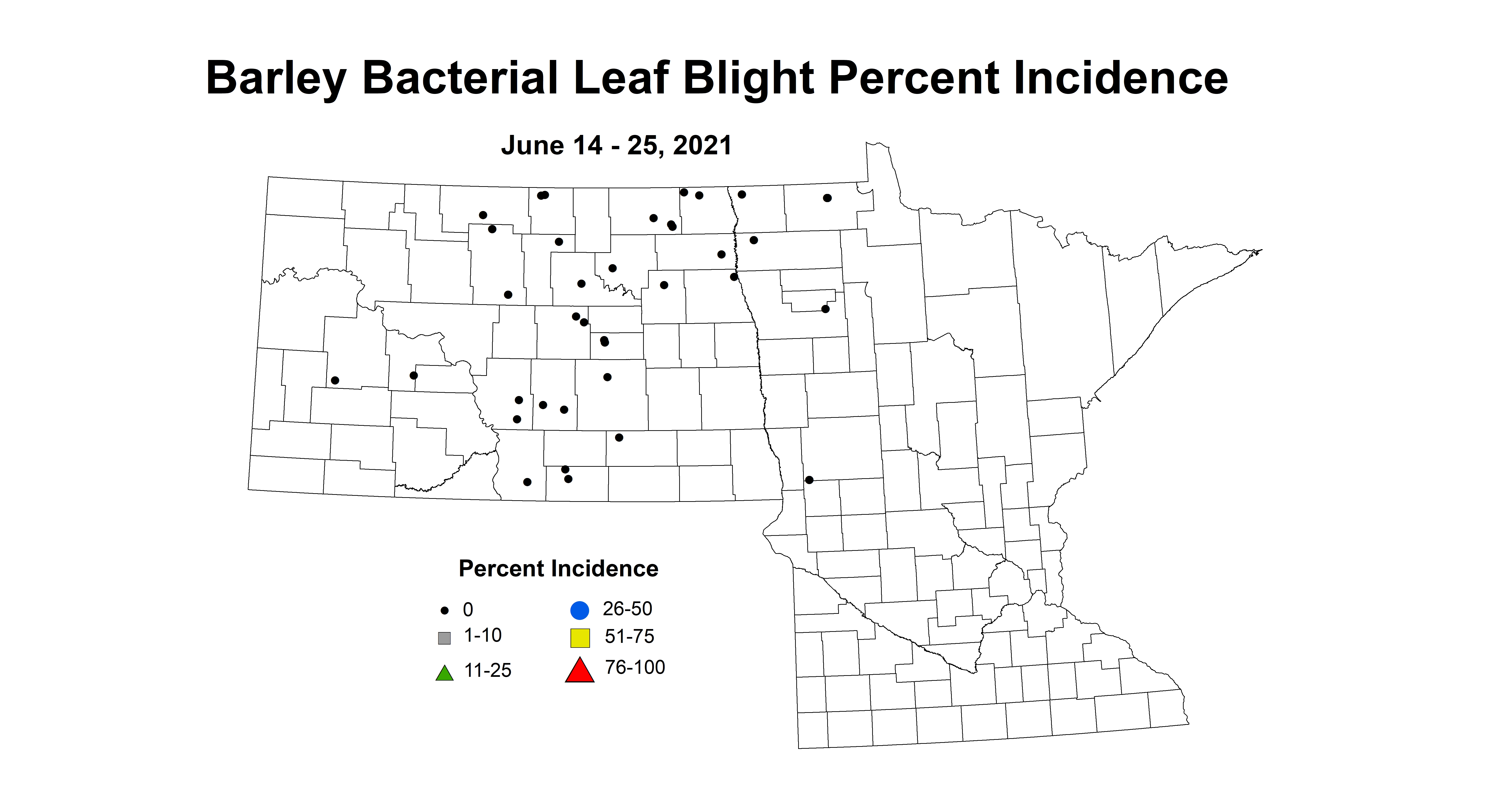 barleyBacterialLeafBlight 6.14 6.25