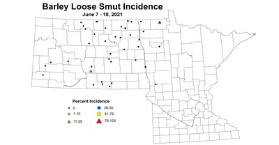 barleyLooseSmutIncidence 6.7 6.18