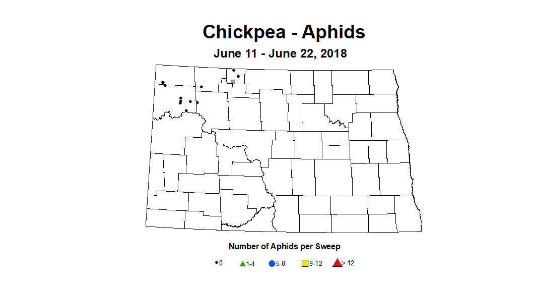 aphids