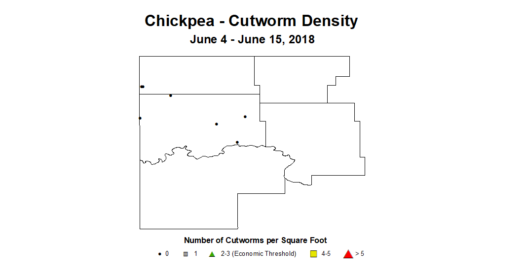 cwd