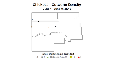 cwd
