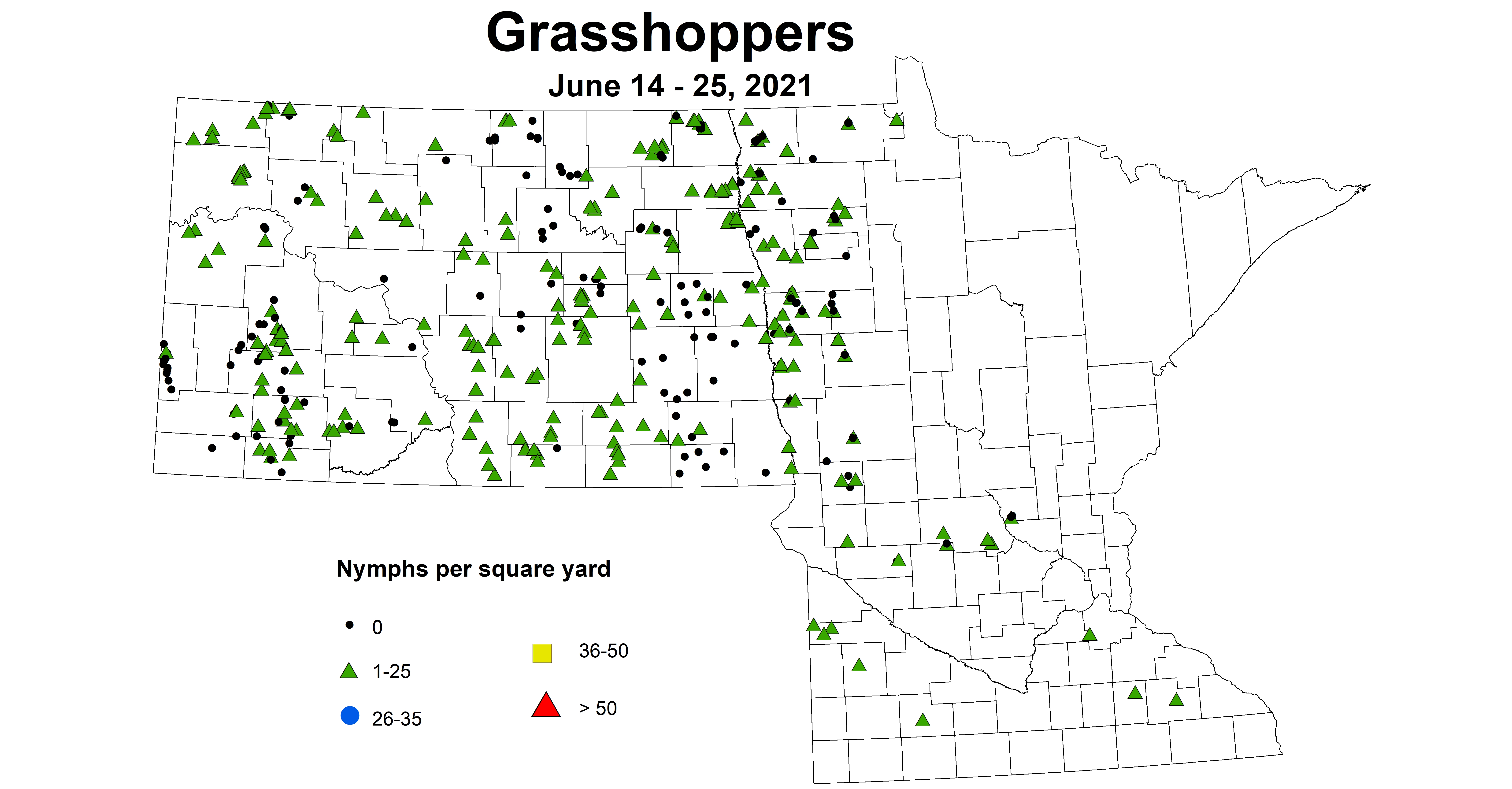 grasshopperNymph 6.14 6.25