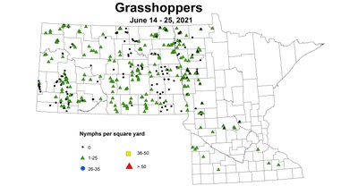 grasshopperNymph 6.14 6.25