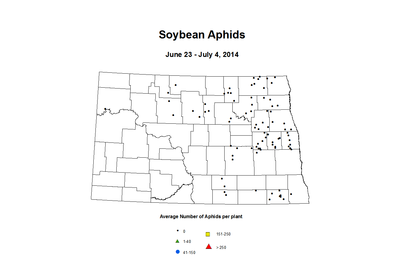 6 23 7 4 Soybean Aphids Average Per Plant