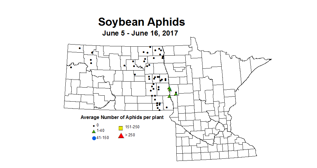 soybean AVGaphids 6 5 6 16 2017