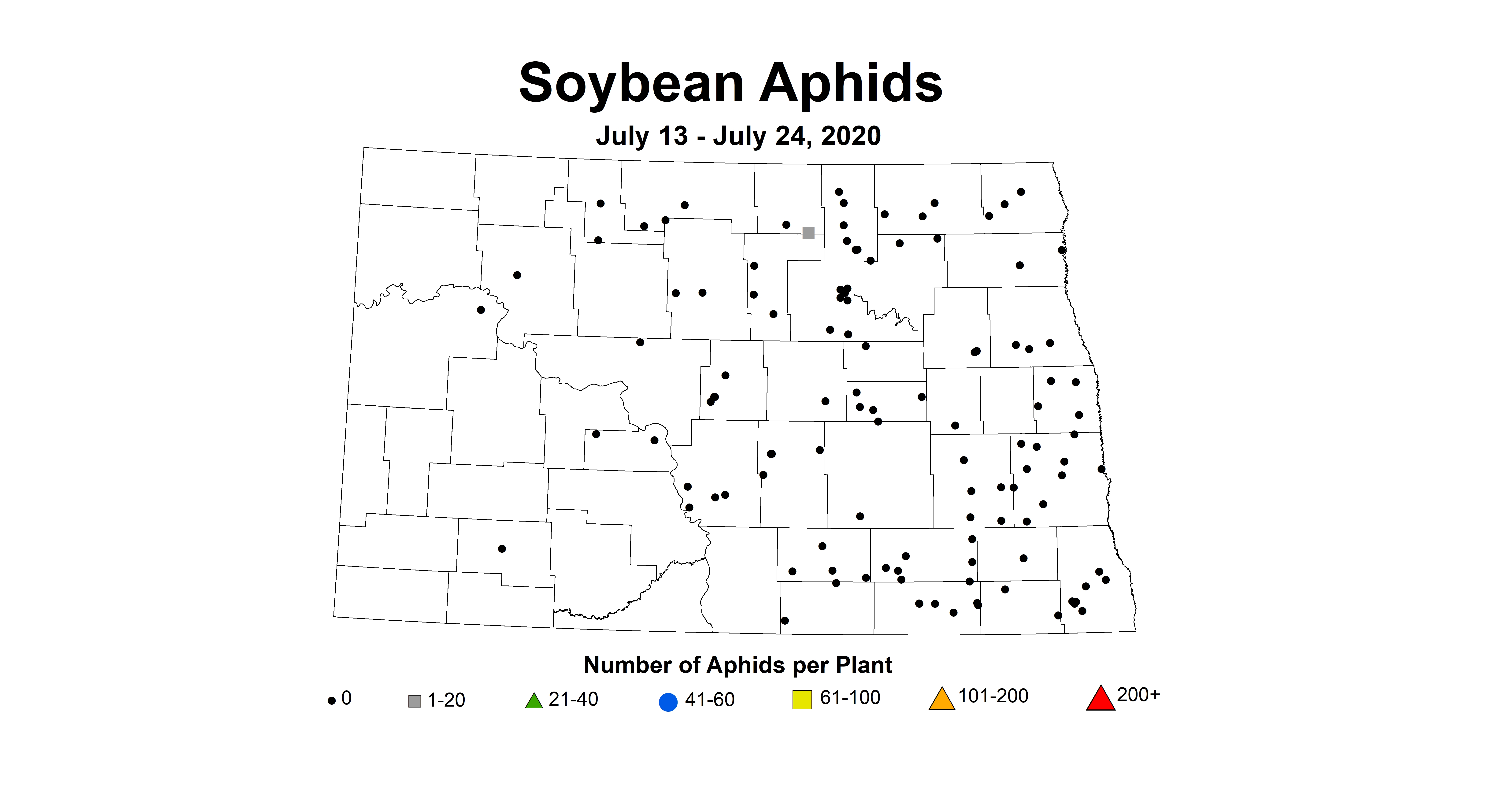 aphid number