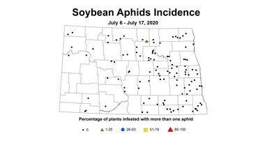aphidIncidence