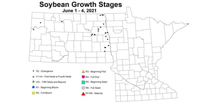 soybeanGrowthStages6.1 6.4