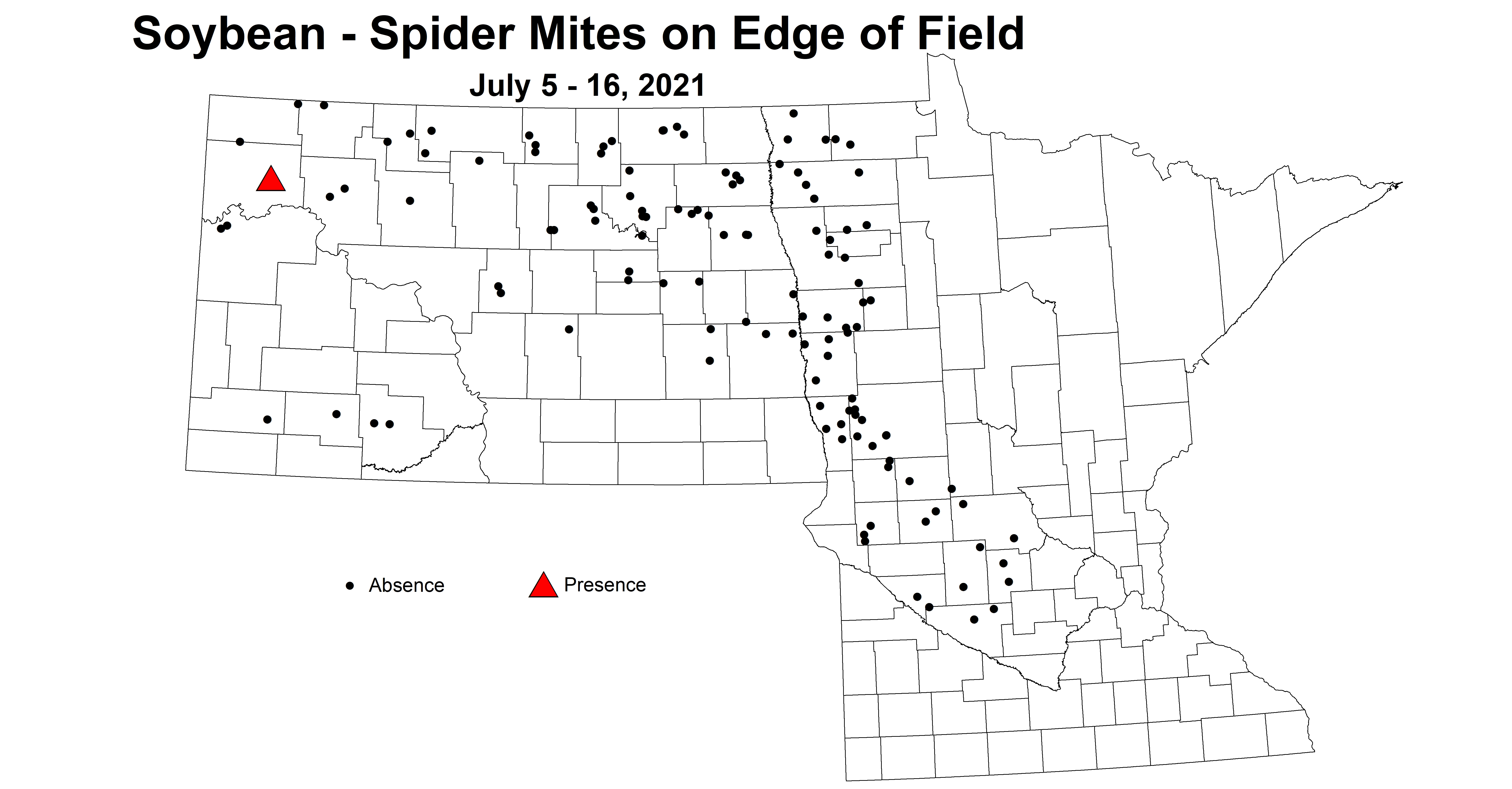 mitesEdge