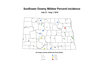 7 21 8 1 Sunflower DM Inc