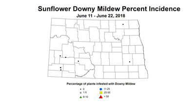 mildew
