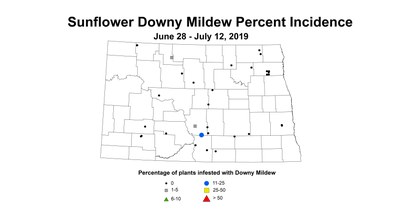 mildew