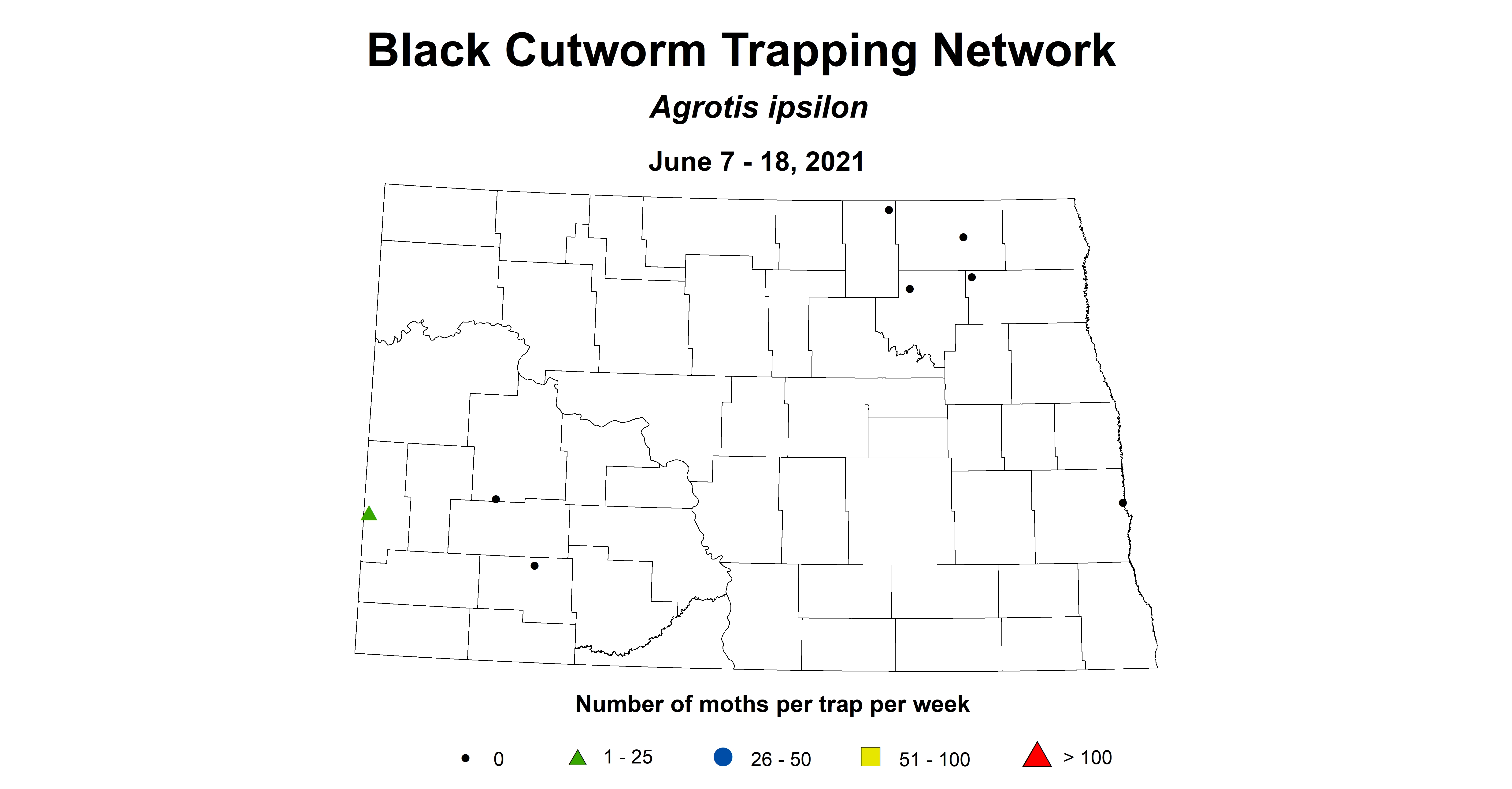 wheatInsectBlackCutworm 6.7 6.18