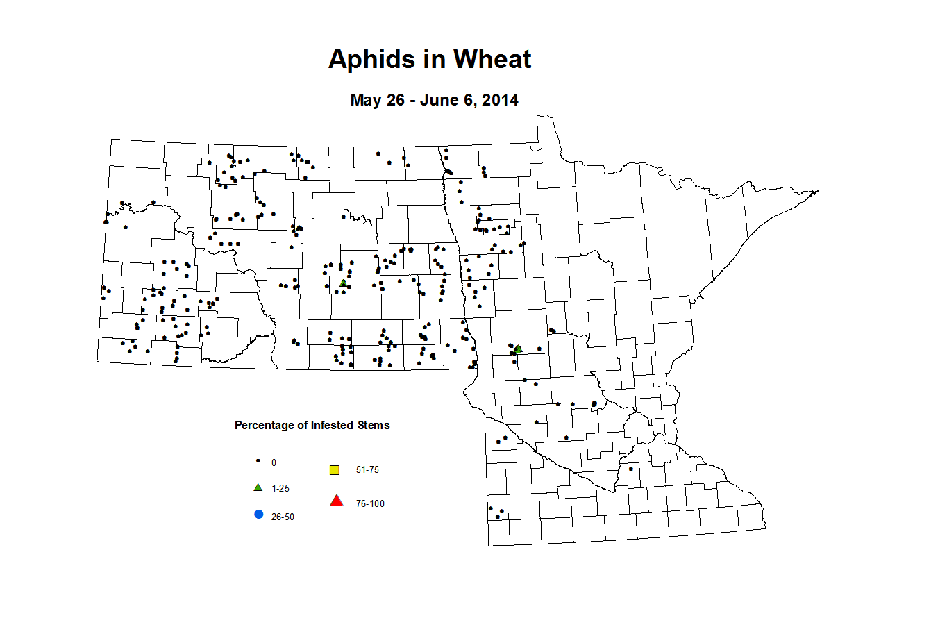 5 26 6 6 Wheat Aphid Tillers