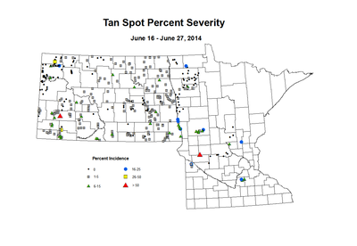 6 16 6 27 Wheat TS Sev