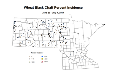 6 23 7 4 Wheat BCP Inc