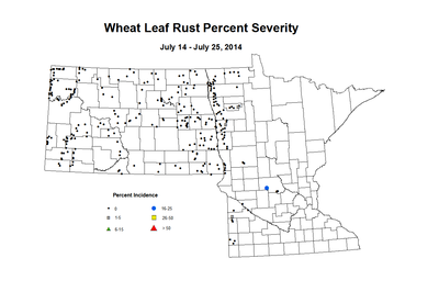7 14 7 25 Wheat LR Sev