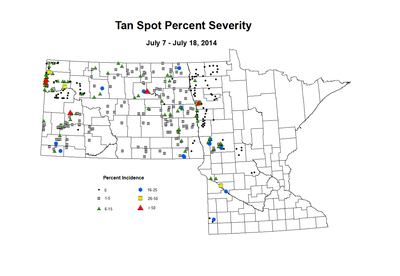 7 7 7 18 Wheat TS Sev