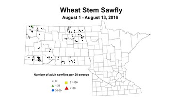 8 1 8 13 Wheat 2016