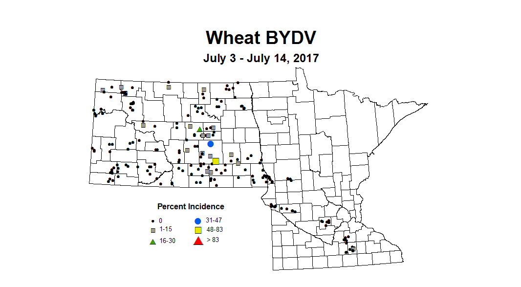 wheat BYDVI 7 3 7 14 2017