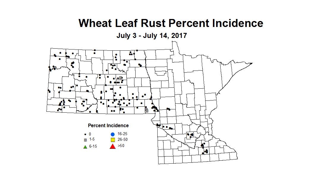 wheat LRI 7 3 7 14 2017