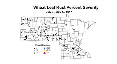wheat LRSV 7 3 7 14 2017