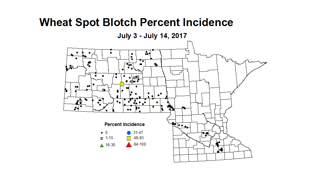 wheat SBI 7 3 7 14 2017