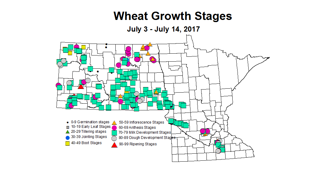 wheat zgs 7 3 7 14 2017