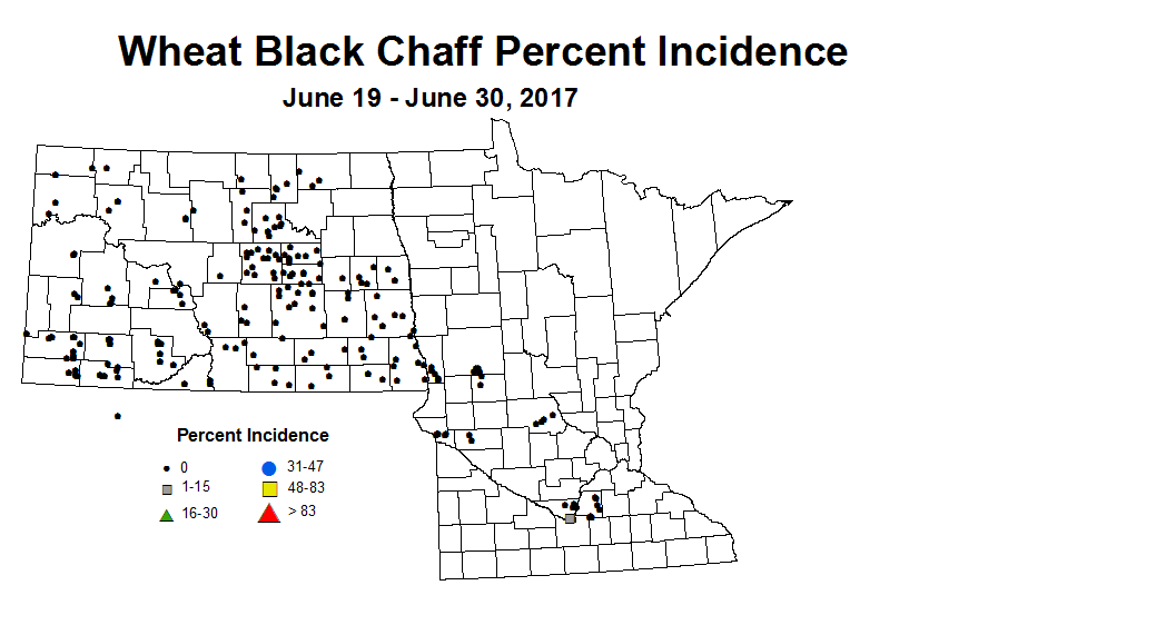 wheat BCI 6 19 6 30