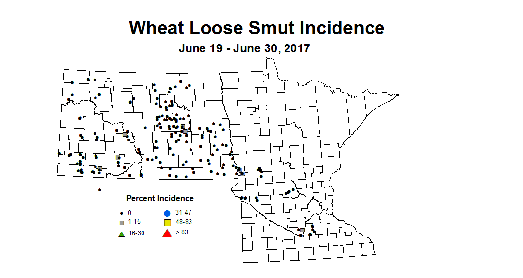 wheat LSI 6 19 6 30