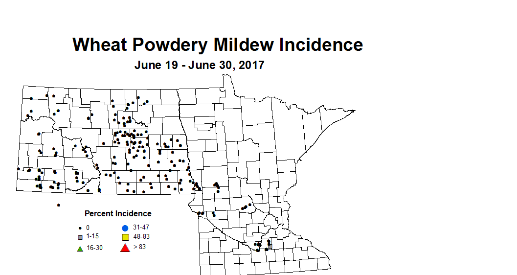 wheat PMI 6 19 6 30