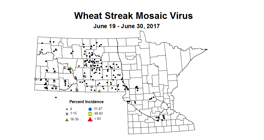 wheat wsmvi 6 19 6 30