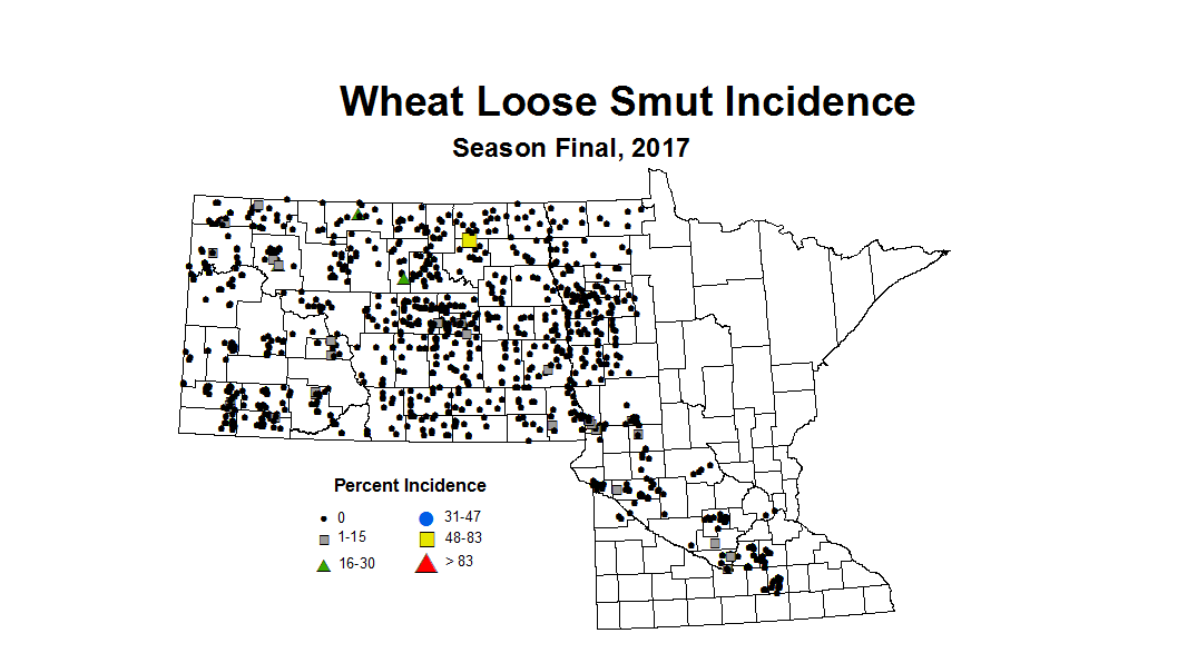 LSI seasonWheat2017