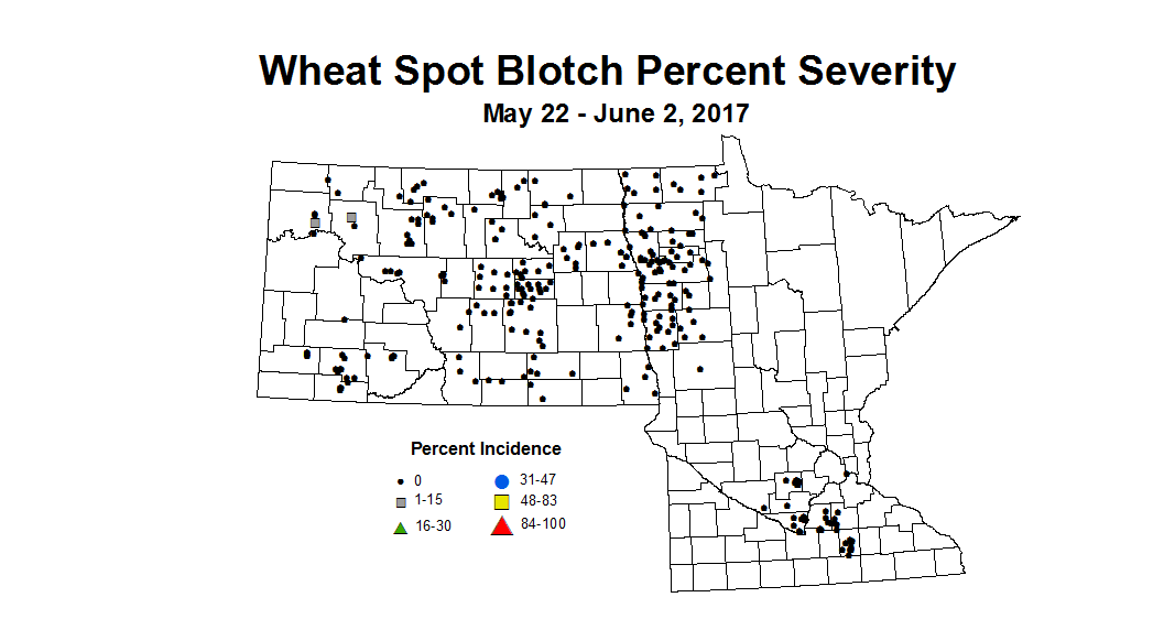 wheat_SBSV_5-22_6-2_2017.png