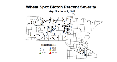 wheat_SBSV_5-22_6-2_2017.png