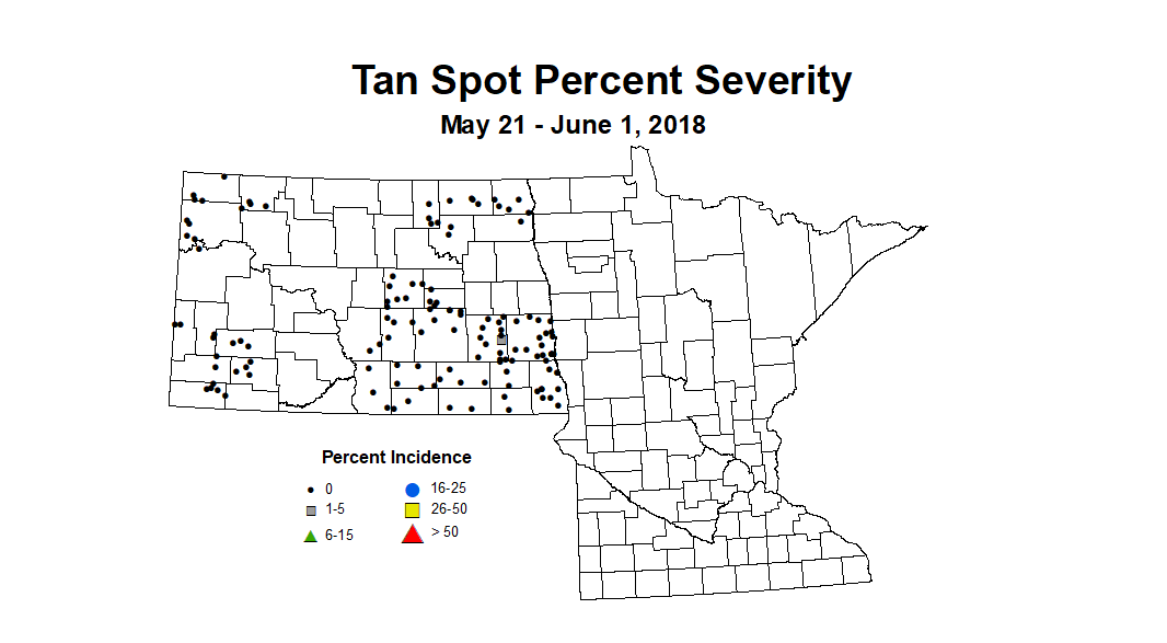 wheat TSSV 5.21 6.1 2018