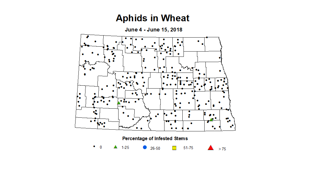 aphidsInc 6.4 6.15
