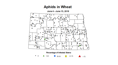 aphidsInc 6.4 6.15