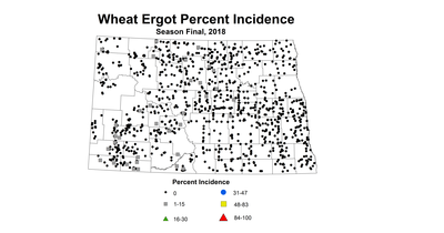 ergot