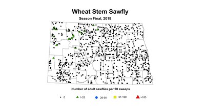season wheat stem sawfly