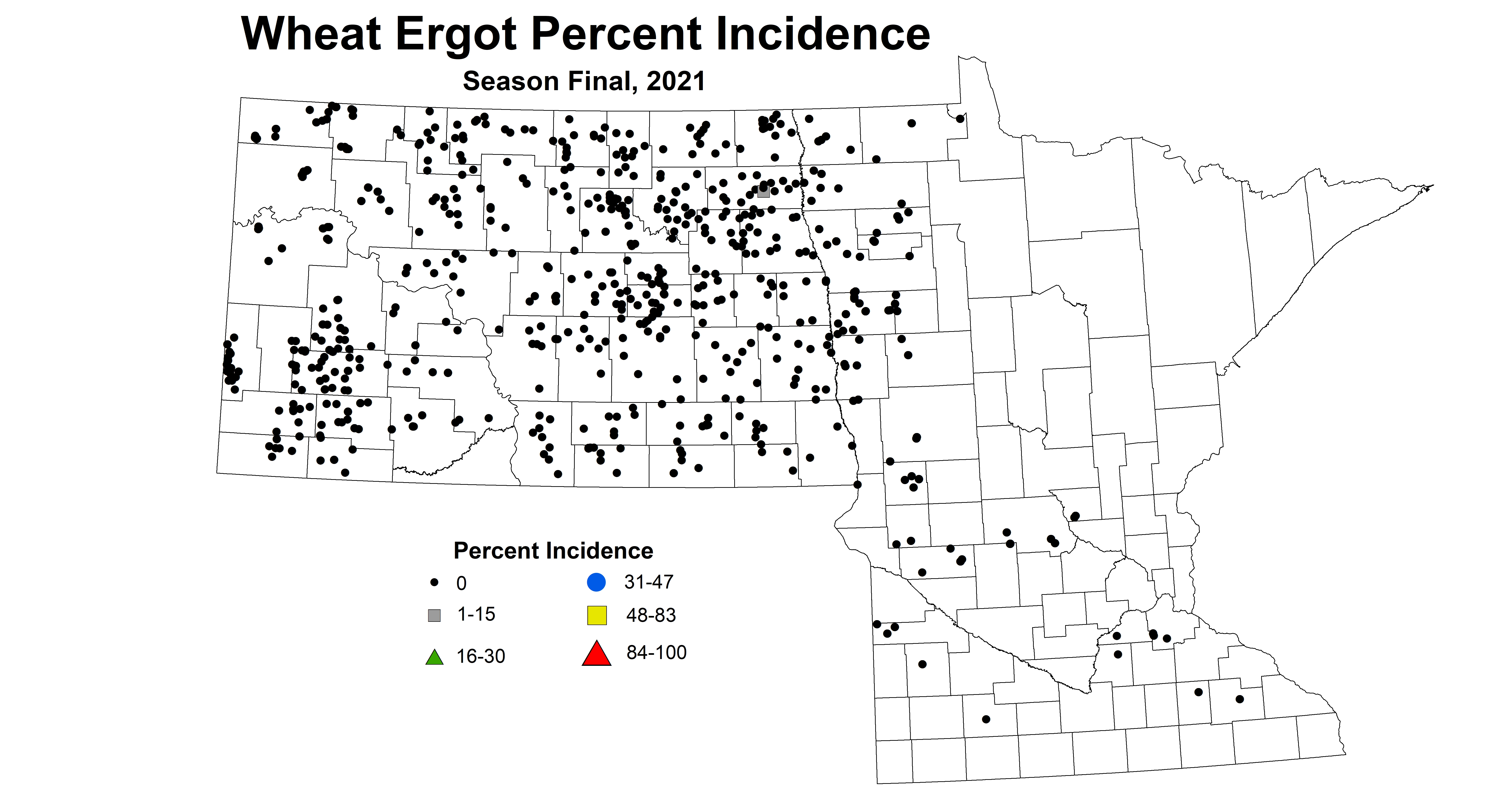 ergot