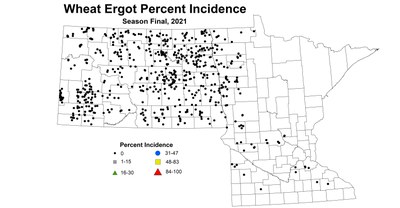 ergot