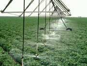 Irrigation